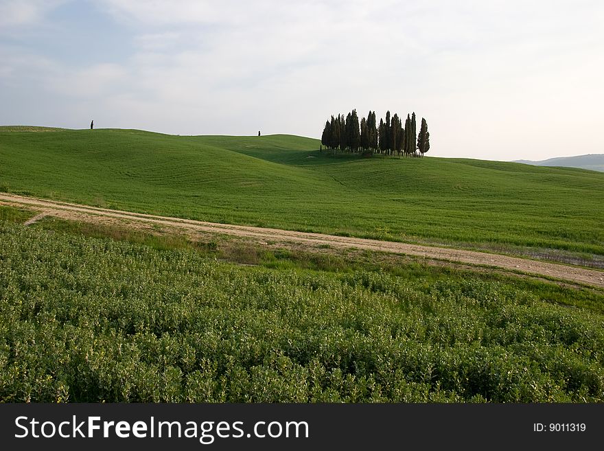 A typical tuscany landscape of central italy