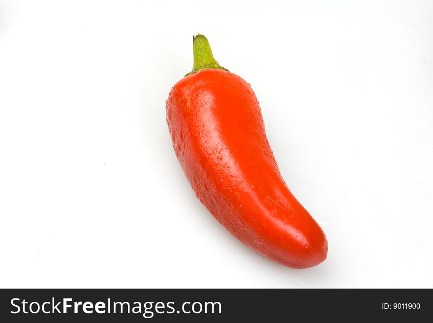 Image of a red  chillie pepper isolated on a white background. Image of a red  chillie pepper isolated on a white background