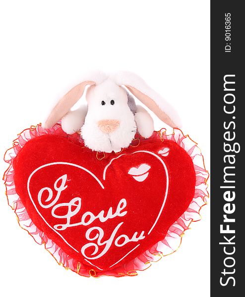 Rabbit with heart over white. Rabbit with heart over white