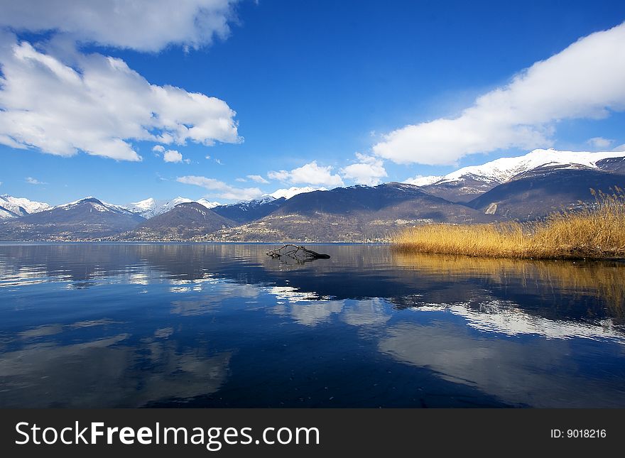 Lake with reeds and white clouds