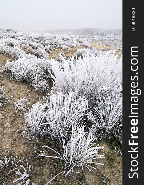 Frosty landscape in Mediana de AragÃ³n; AragÃ³n; Spain