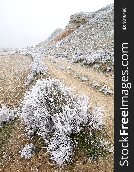 Frosty landscape in Mediana de AragÃ³n; AragÃ³n; Spain