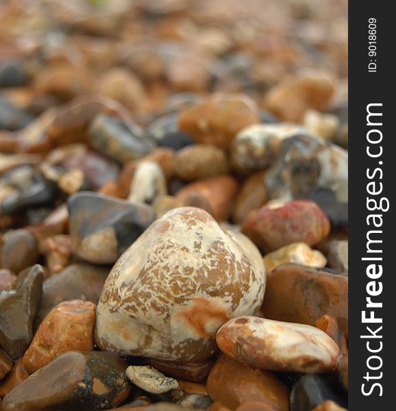 Wet beach pebbles in many colors and textures.