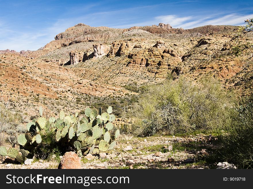Desert scenery in the Arizona wilderness