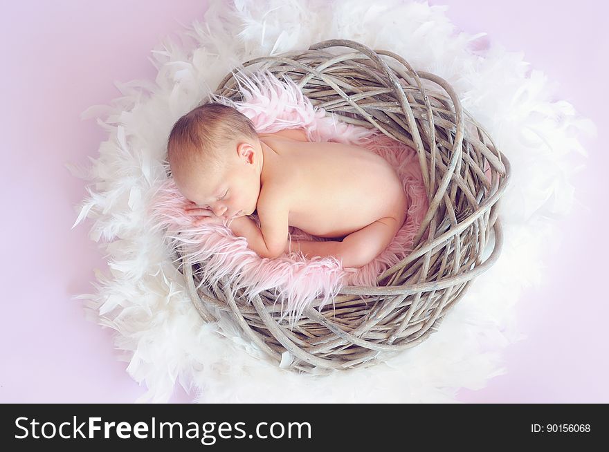 Baby Sleeping In A Basket And A Round Feather Surrounding The Basket
