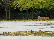 Rainy Day In Public Park Royalty Free Stock Photos Rainy Day In Public Park Royalty Free Stock Photos