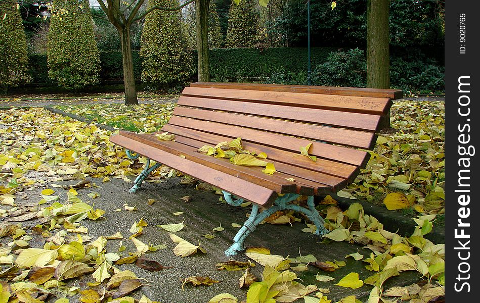 Wooden bench in autumn after rain. Wooden bench in autumn after rain.