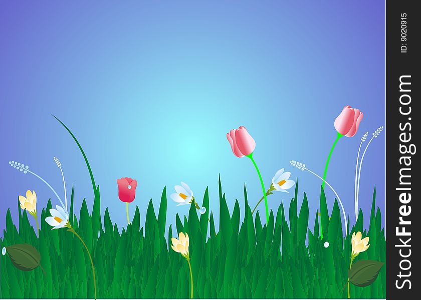 Blossoms in the grass illustration