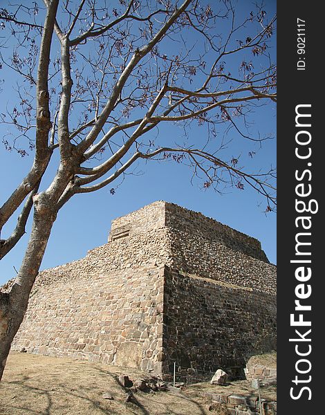 Ruins Of Monte Alban