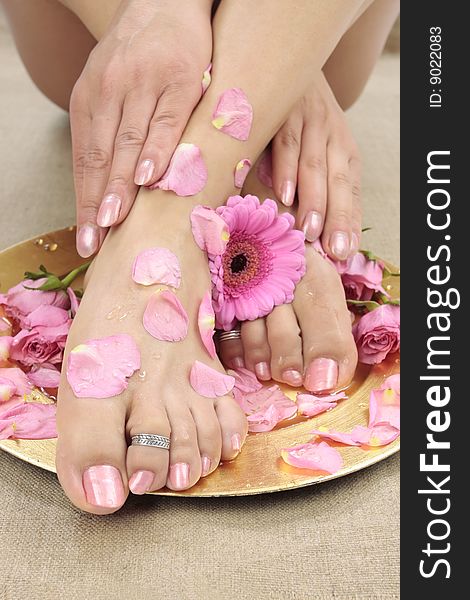 Beautiful Woman  Feet With Flowers And Petals