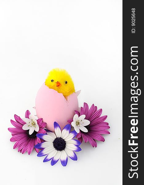 Little Chick Of Easter