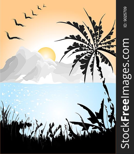 Landscape with birds and Palm. Vector Illustration. Landscape with birds and Palm. Vector Illustration.