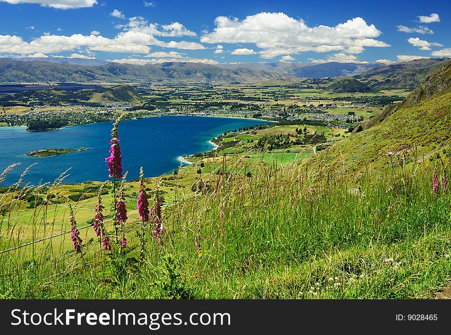 Scenery with town Wanaka by lake. New Zealand