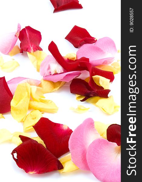 Red, pink and yellow rose paddles isolated on white