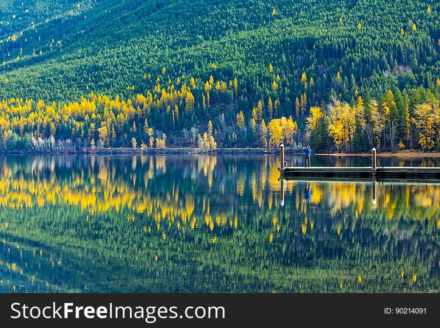 Reflection Of Trees In Lake