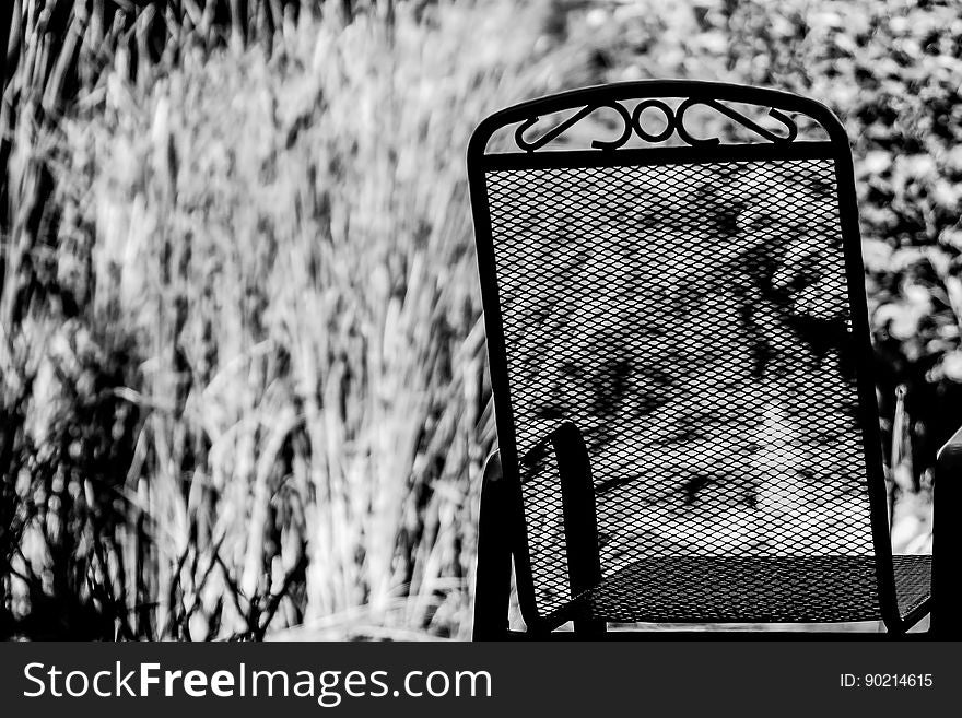 Black and white rear view of mesh and metal chair in garden outdoors.