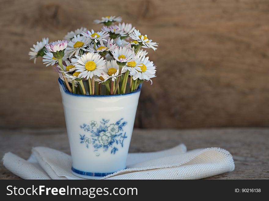 Daisies In Vase