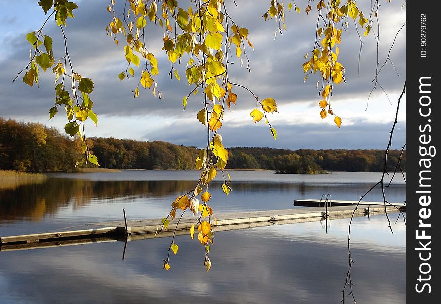 Wooden dock in calm waters along lakefront with autumn foliage on trees. Wooden dock in calm waters along lakefront with autumn foliage on trees.