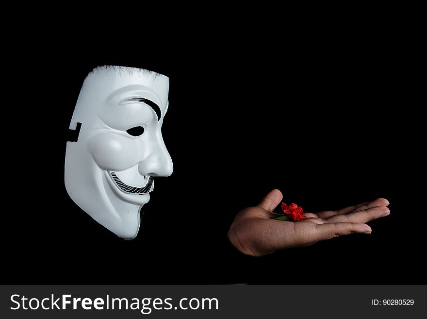 Photo of Guy Fawkes Mask With Red Flower on Top on Hand