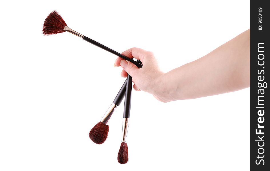 Cosmetic brushes for a make-up, various width and used for the various purposes.