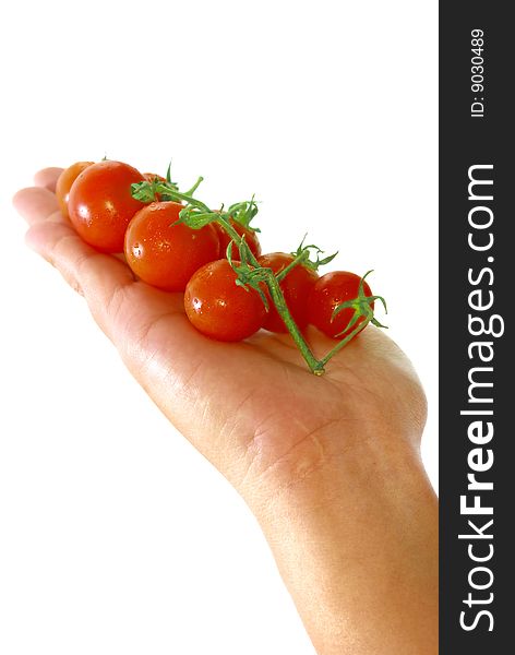 Close up capture fresh red tomato on hand. Close up capture fresh red tomato on hand