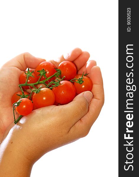 Close up capture fresh red tomato on hand. Close up capture fresh red tomato on hand