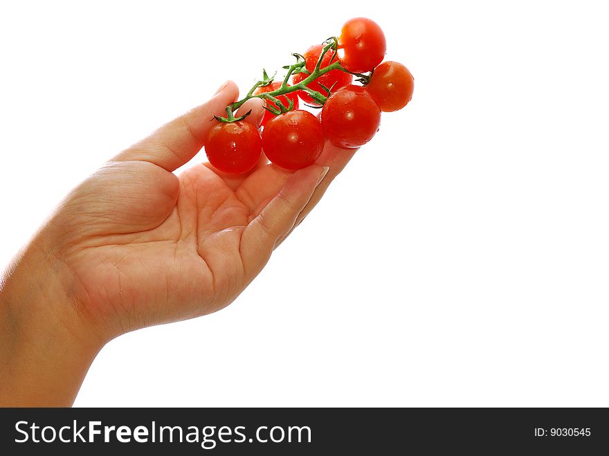 Close up capture fresh red tomato on hand. Close up capture fresh red tomato on hand