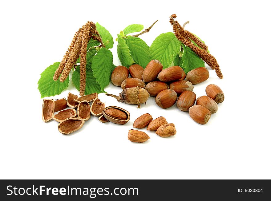 Hazelnuts with green leaf isolated on white background