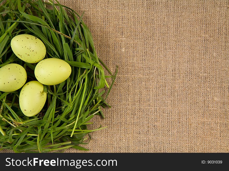 Grass nest with eggs, lot of copy-space