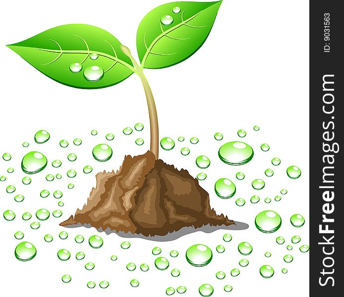 Young sprout in ground. Vector illustration. Young sprout in ground. Vector illustration.