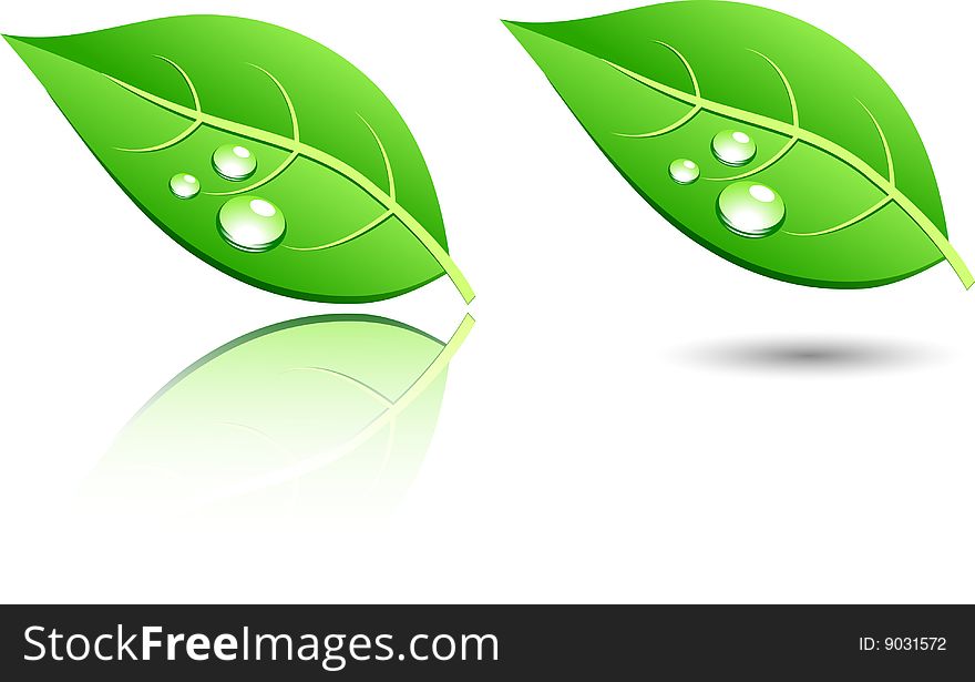 Green leaf icons. Vector illustration. Green leaf icons. Vector illustration.