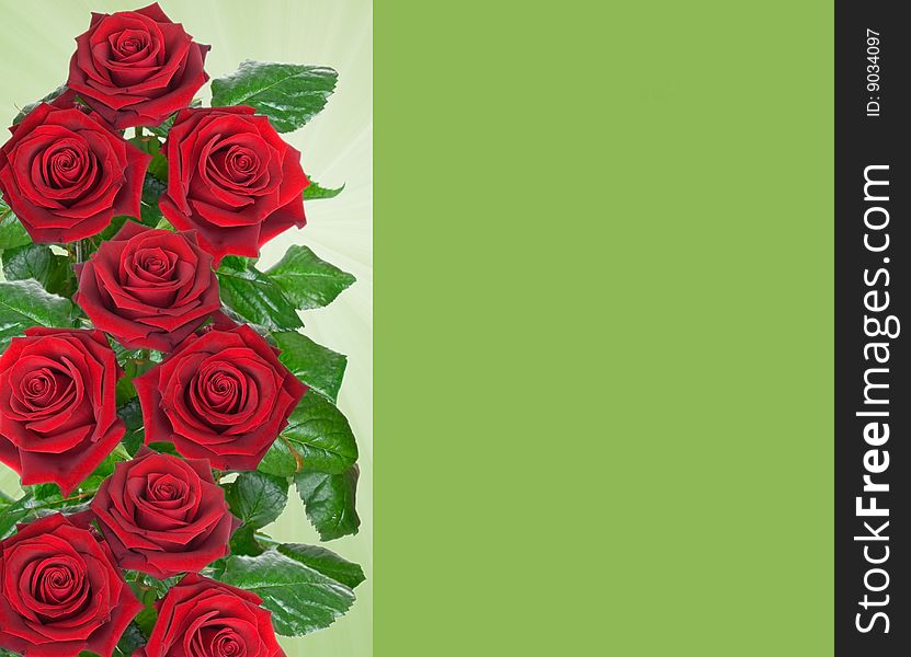 Card with red rose on green background. Card with red rose on green background.