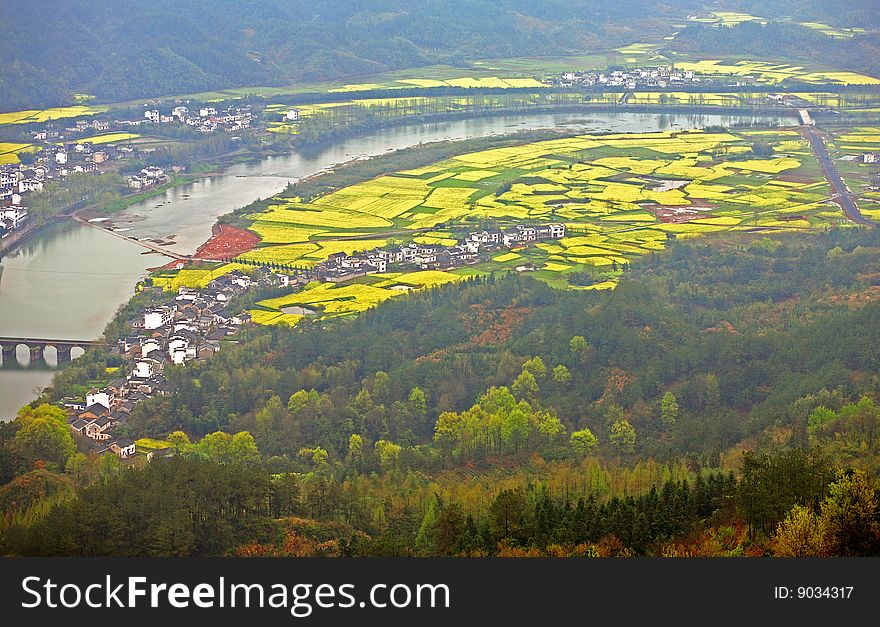 Overlooking a village by river surrounded by yellow flower fields and forest in the morning mist from the top of a hill. Overlooking a village by river surrounded by yellow flower fields and forest in the morning mist from the top of a hill