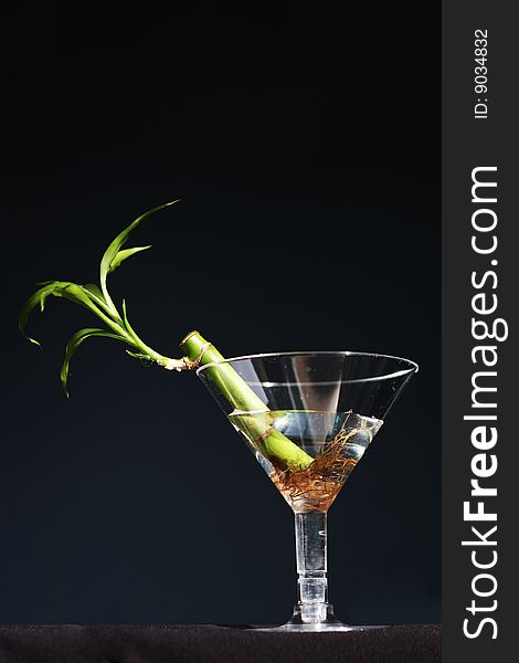 Bamboo plant on a martini glass with water on black background. Bamboo plant on a martini glass with water on black background