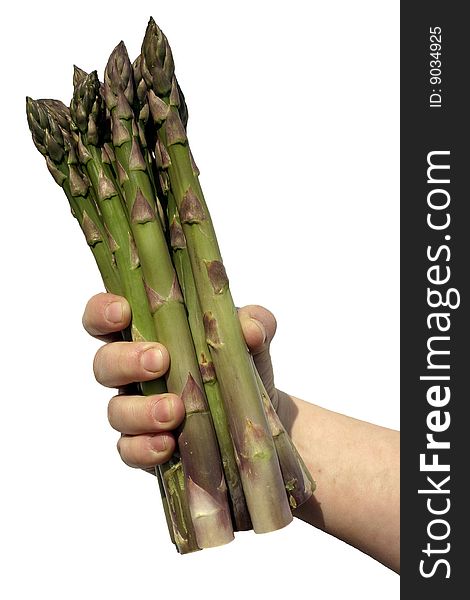 An isolated picture of a hand holding asparagus spears. An isolated picture of a hand holding asparagus spears