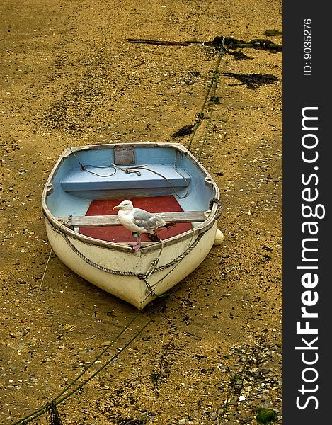 Old rowing boat with seagull. Against textured sandy beach. Old rowing boat with seagull. Against textured sandy beach.