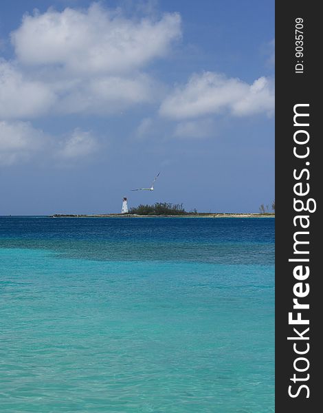 Lighthouse in Nassau, Bahamas with seagull. Lighthouse in Nassau, Bahamas with seagull