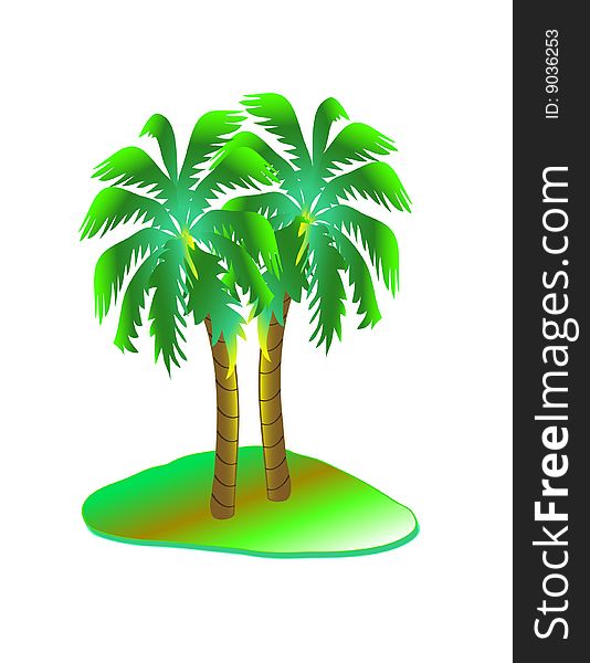 Two palm trees over a piece of grass