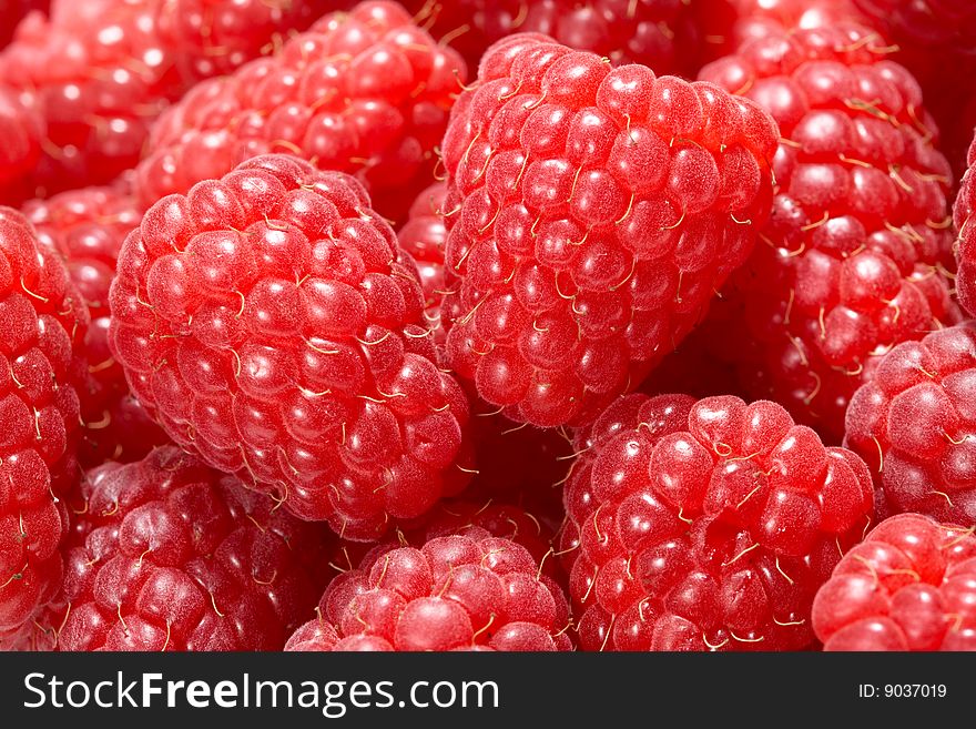 Fresh Raspberries Closeup