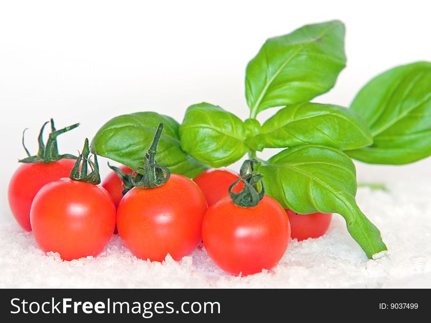 Fresh Basil and Cherry Tomatoes on sea salt isolated against white background. Fresh Basil and Cherry Tomatoes on sea salt isolated against white background