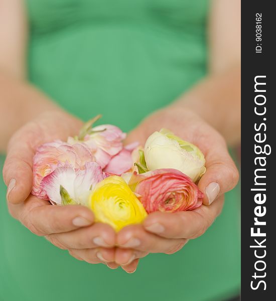 Woman holding flower in heart shape of hands. Woman holding flower in heart shape of hands