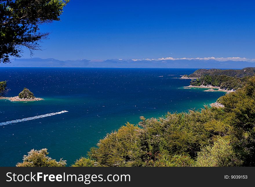 Pure ocean in Abel Tasman National Park, new zealand,. Pure ocean in Abel Tasman National Park, new zealand,