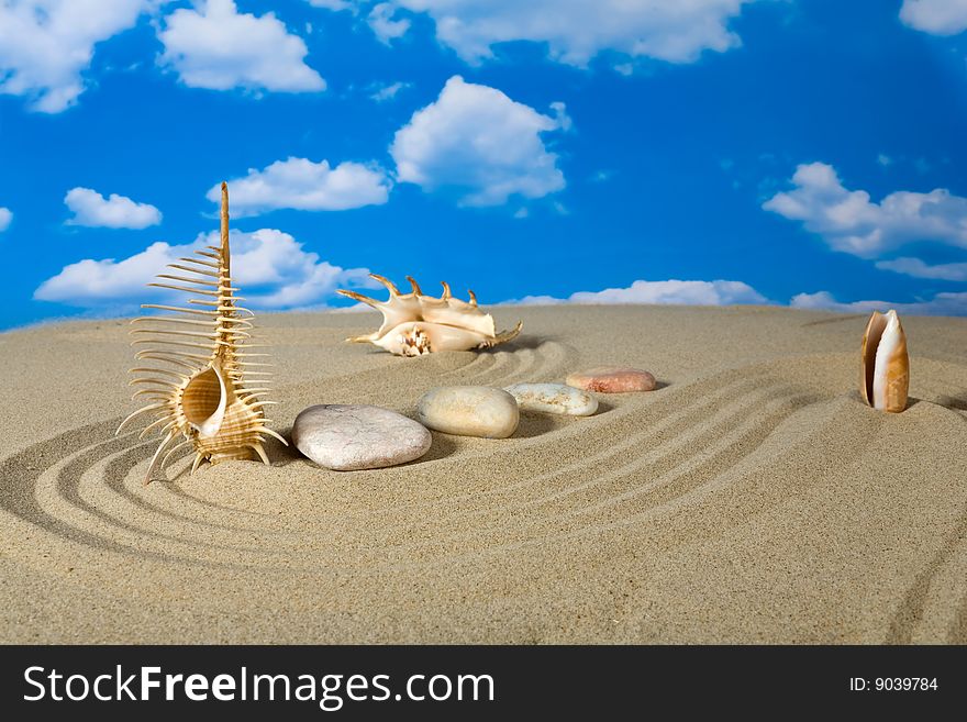 Landscape With Seashell And Stones On Sky