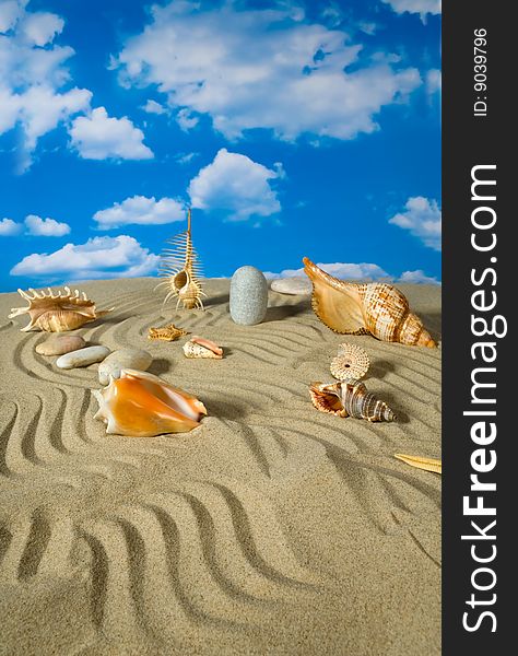 Landscape with seashell and stones on sky background