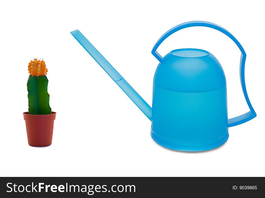 Blue watering can on white background with cactus