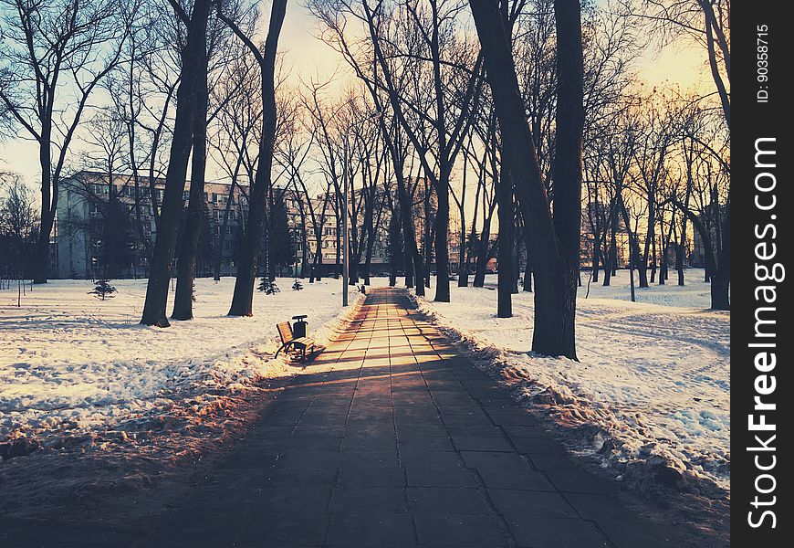 Path through city park in winter with snow covered grass and bench in distance.