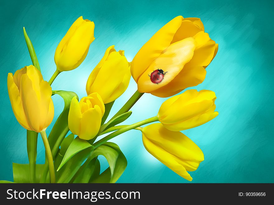 Flower, Yellow, Flowering Plant, Wildflower