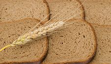 Wheat Ear Laying On Slices Of Bread Royalty Free Stock Images