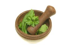 Herbs In Pestle And Mortar Stock Photo Herbs In Pestle And Mortar Stock Photo