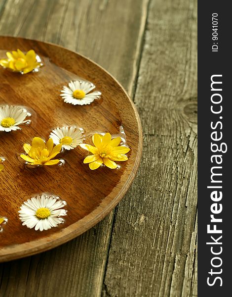 Bowl of water with flowers on wooden, spring